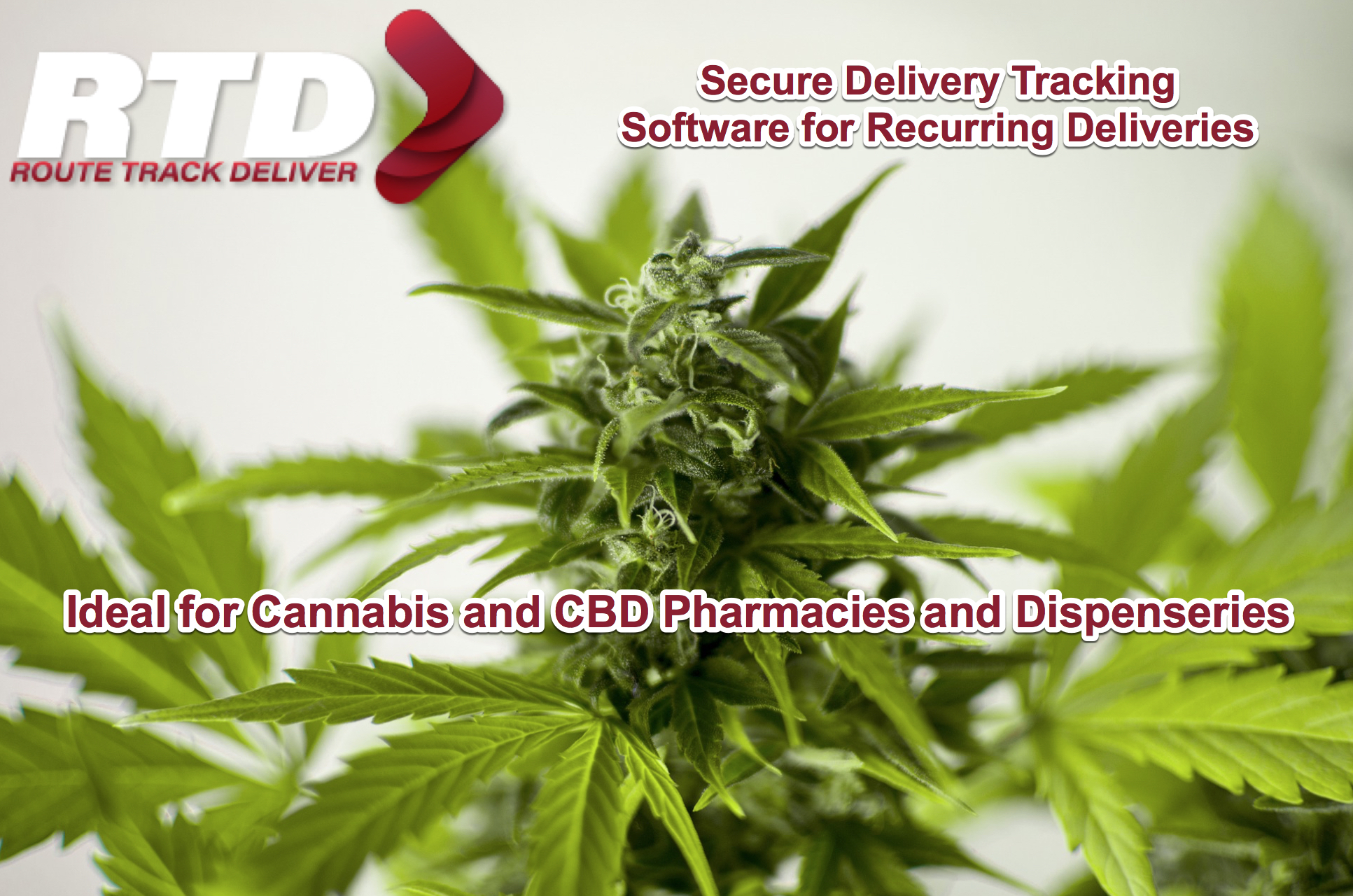 Cannabis and CBD Delivery Service Software Image